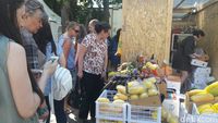 Mangga Rp 80 Ribu dan Nanas Rp 115 Ribu Diburu Warga Rusia