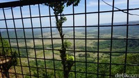 Bukit Panenjoan sendiri berarti tempat untuk melihat dalam bahasa Sunda. Dari bukit ini, bisa terlihat Desa Ciwaru, Desa Mandra Jaya dan Desa Mekar Sakti. Bukit diberi teralis pelindung agar traveler merasa aman (Mukhlis/detikTravel)
