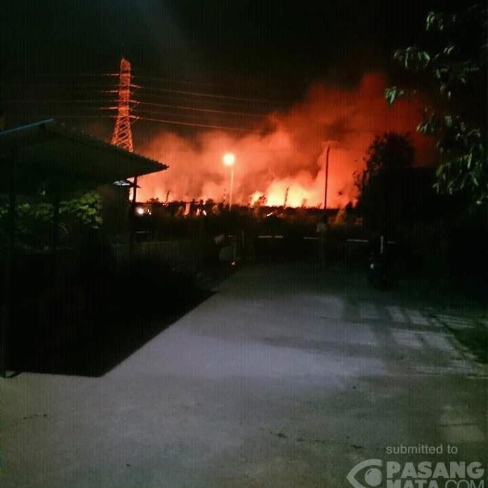 Hutan di Dekat Danau Bagan Batam Terbakar