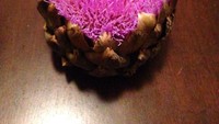  Artichoke adalah sayuran berbentuk kuncup bunga dengan kelopak berlapis. Tapi artichoke yang didiamkan di kulkas ini berbeda karena ditumbuhi serabut-serabut halus warna ungu terang di permukaannya. (Foto: Bored Panda)