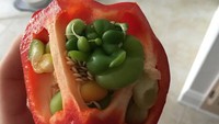 Gimana ya kalau ada paprika dalam paprika? Foto ini menunjukkan kejadian unik saat paprika mini tumbuh dalam paprika besar. (Foto: Bored Panda)