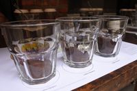 Wah, Peserta Sangat Antusias Belanjar Prinsip <i>Roasting</i> Kopi Indonesia