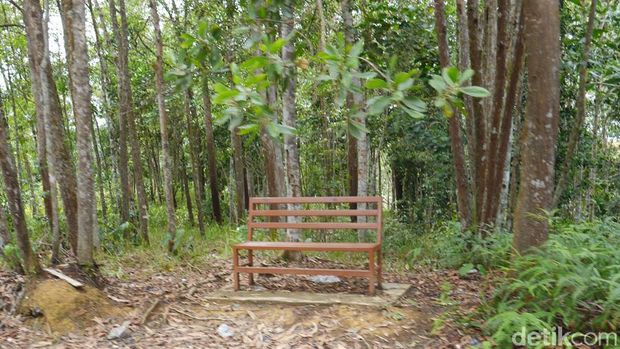 (Kurnia/detikTravel)