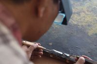 Lukisan Rp 1,5 M Basuki Abdullah Rusak! Begini Memperbaikinya