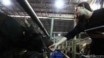 Jelang Idul Adha, Sapi Wagyu Dijual di Depok