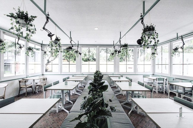 Ini 6 Kafe di Jogja yang Paling Instagramable untuk Nongkrong