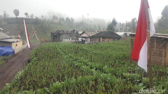 Masuk Area Taman Nasional, Desa Ranupani Akan Dijaga dan Diawasi