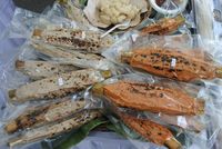 Kue Pasung dan Rabeg Favorit para Sultan dari Banten Bisa Dicicip di Sini