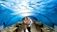 Kebanyakan restoran di Maldives memang menawarkan pemandangan Indah. Tapi Ithaa Undersea Restaurant di Conrad resort satu-satunya yang berada di bawah laut! (Foto: Istimewa)
