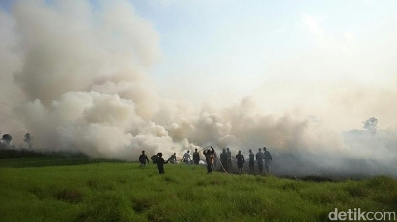 120 Hektare Lahan Terbakar di Ogan Ilir, Kabut Asap Ganggu Warga 120 Hektare Lahan Terbakar di Ogan Ilir, Kabut Asap Ganggu Warga