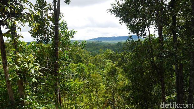 (Kurnia/detikTravel)