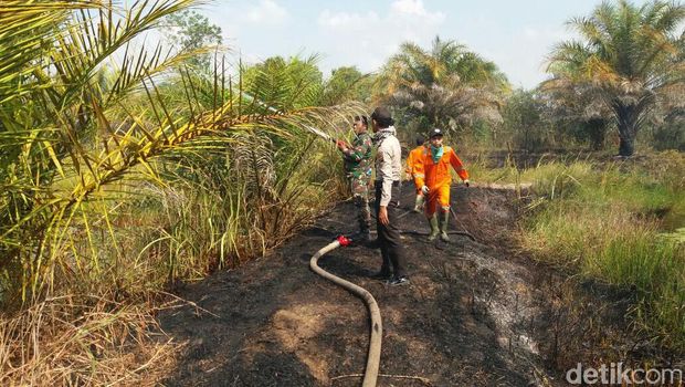 Petugas gabungan memadamkan api yang membakar lahan di Palembang