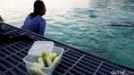 Melepas Penat di Natuna, Susi Semringah Banget...!