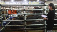 Pada tahun ini Mall Qurban H Doni untuk pertama kalinya dan satu-satunya di Depok menjual sapi Wagyu asal Jepang untuk Idul Adha.