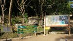 Foto: Curug Paling Hits di Geopark Ciletuh