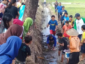 Saat Petani di Ngawi Lomba Berburu Tikus Sambut HUT RI Ke-72