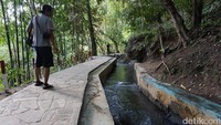 Lokasi Curug Cimarinjung ini masih alami dan jauh dari pemukiman penduduk. Area di sekitar air terjun masih sangat bersih. Pepohonan pun tumbuh lebat dan suasana sejuk pun langsung terasa (Mukhlis/detikTravel)