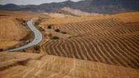 Potret kekeringan di Teba, Malaga, Minggu (6/8). REUTERS/Jon Nazca.