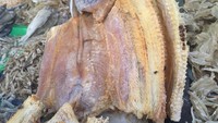 Ikan gabus asin paling enak dimasak dengan cabe dan pete. Meski dari ikan air tawar, ikan gabus tetap gurih. Ada yang kecil dan ada yang besar.
