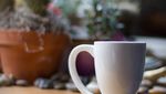 Pencinta Kopi, Ini 9 Mug Kopi Keren yang Bikin Ngopi Makin Asyik