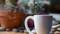 Dengan mug Minibru ini Anda bisa menyeduh kopi langsung di mug ini. Masukkan bubuk kopi, tuangi air panas dan diamkan 2-3 menit. Lalu angkat saringan dalam mug dan kopi panas siap dinikmati. Foto: Istimewa