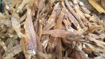 Mau Masak Ikan Asin? 9 Jenis Ikan Asin Populer Ini Bisa Bikin Nambah Nasi