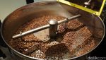 Ini Keseruan Belajar Roasting hingga Cupping Kopi Asli Indonesia