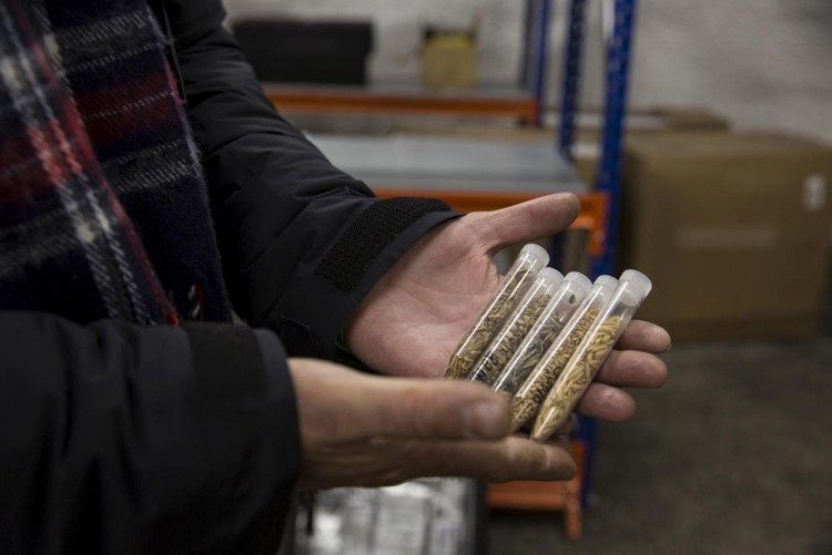 Svalbard Global Seed Vault
