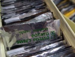 Bungker Kiamat, Tempat Berlindung Kalau Bumi Kena Bencana Global