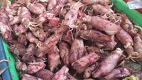 Cumi asin paling enak dimasak dengan cabe hijau. Ada cumi kecil bertelur atau cumi sero yang pipih panjang. Rebus sebelum diolah supaya tak terlalu asin.