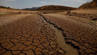 Kemarau panjang membuat kawasan Ardales mengalami kekeringan. REUTERS/Jon Nazca.