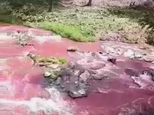 Penjelasan Pemkot Pematangsiantar soal Sungai Berubah Jadi Merah