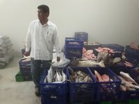 Denyut Pusat Bisnis Ikan Natuna yang Bakal Diresmikan Jokowi