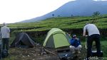 Foto: Kebun Teh di Blitar, Cantik Juga