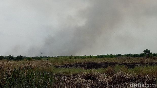 Kapolda Sumsel Irjen Agung Budi Maryoto mengecek lokasi kebakaran lahan.