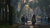 Imajinasi para pembaca berhasil dituangkan secara visual, seperti jalan menuju gerbang sekolah Dilan. (Dok. Instagram/falconpictures_)