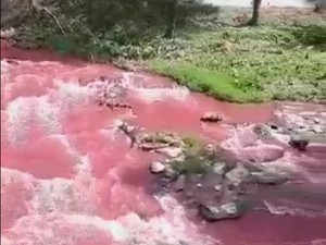 Geger Sungai Bah Bolon di Sumut Berubah Jadi Merah