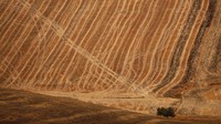 Selain Ardales, kawasan Teba dekat Malaga juga mengalamai kekeringan. REUTERS/Jon Nazca.