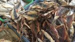 Mau Masak Ikan Asin? 9 Jenis Ikan Asin Populer Ini Bisa Bikin Nambah Nasi