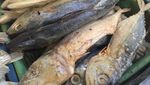 Mau Masak Ikan Asin? 9 Jenis Ikan Asin Populer Ini Bisa Bikin Nambah Nasi