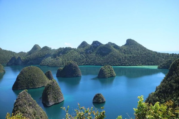 Geser ke Papua Barat, inilah primadona bawah laut Indonesia yakni Raja Ampat. Raja Ampat menyimpan sekitar 540 jenis karang yang sudah diidentifikasi. Di dalamnya hidup sekitar 1.511 spesies ikan dan 700 jenis moluska (Feni Novida Saragih/dTraveler) Geser ke Papua Barat, inilah primadona bawah laut Indonesia yakni Raja Ampat. Raja Ampat menyimpan sekitar 540 jenis karang yang sudah diidentifikasi. Di dalamnya hidup sekitar 1.511 spesies ikan dan 700 jenis moluska (Feni Novida Saragih/dTraveler)
