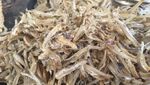 Mau Masak Ikan Asin? 9 Jenis Ikan Asin Populer Ini Bisa Bikin Nambah Nasi