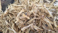 Ikan teri ini ukurannya agak besar dan pipih kering serta tawar rasanya. Enak digoreng atau dipadukan dengan sambal atau dimasak dengan kecap.