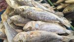 Mau Masak Ikan Asin? 9 Jenis Ikan Asin Populer Ini Bisa Bikin Nambah Nasi