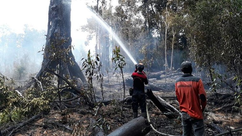 Kebakaran Hutan 77 Ha di Taman Nasional Danau Sentarum Padam Kebakaran Hutan 77 Ha di Taman Nasional Danau Sentarum Padam