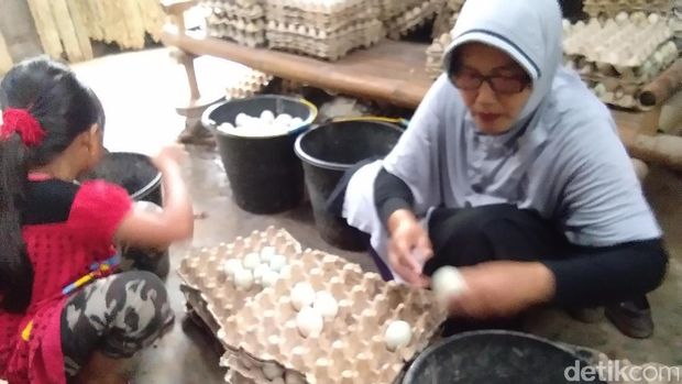 Pengusaha telur asin di Aceh keluhkan garam mahal dan langka