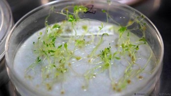 Benih di Doomsday Vault adalah milik negara-negara dan organisasi di seluruh dunia. Benih-benih inilah yang akan dijaga sampai akhir zaman. Foto: Reuters
