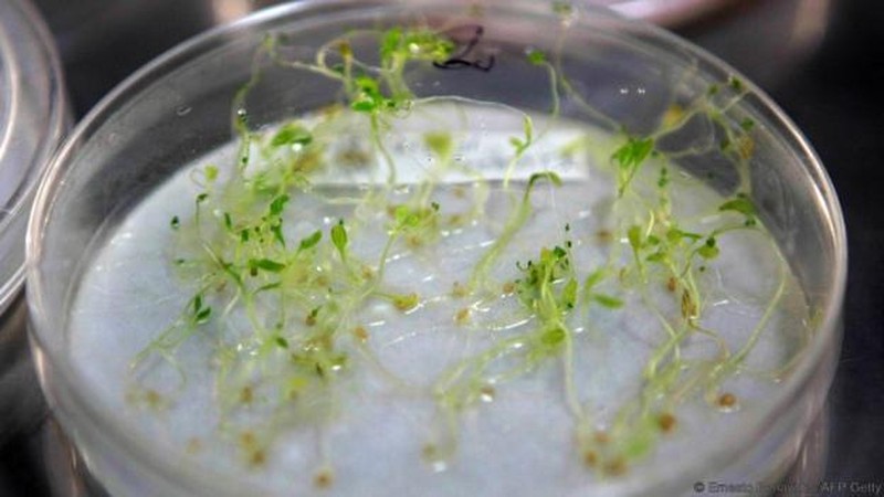 Svalbard Global Seed Vault