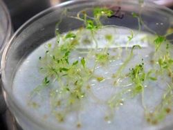 Gudang Persiapan Kiamat Sungguhan Ada, Ini Isinya