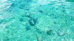 Foto: Keindahan Laut Natuna yang Jadi Primadona Incaran Pencuri Ikan